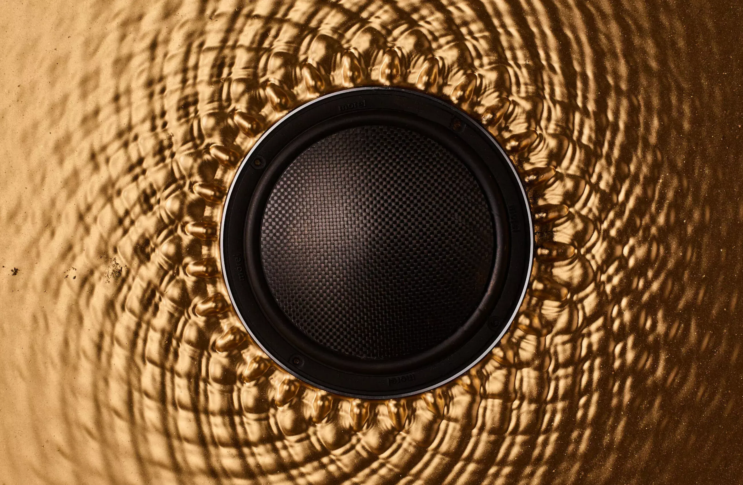 Car Audio Reference Morel Hifi