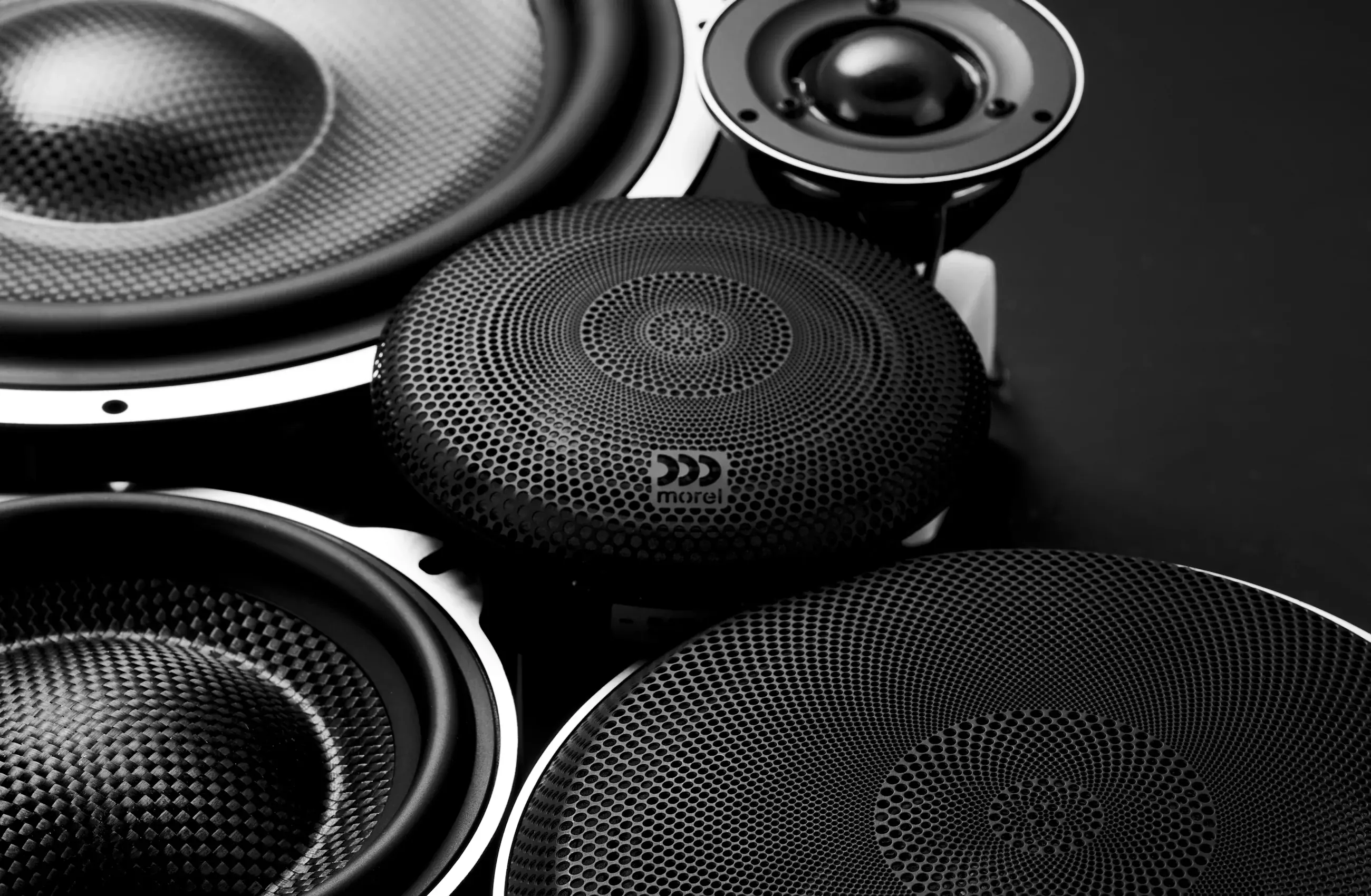 ELATE CARBON WOOFER ELATE CARBON Components - Morel Hifi